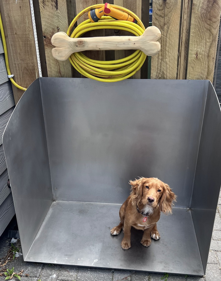 fudge modelling the dog wash